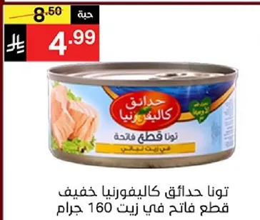 توناف في زيت قطع خفيفه 160 جرام.
