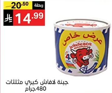 حليب مجفف خاص، 480 جرام.