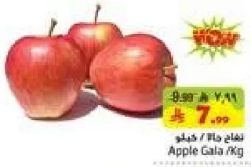 تفاح جالا / كغ