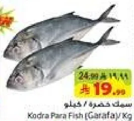 Kodra Raza Fish (Catarfa) / Kg