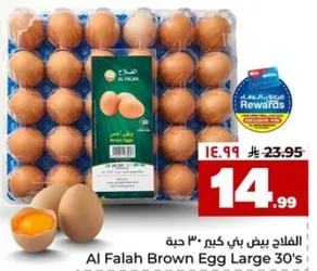 بيض بني كبير 30 حبه الفلاح
