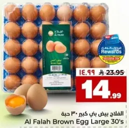 الفلاح بيض بني كبير 30 حبه