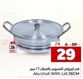 قدر اوروبي المنزوم بالغطاء 26 سم