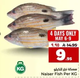 سمكه نيزر بالكيلو