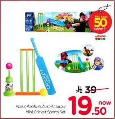Mini Cricket Sports Set
