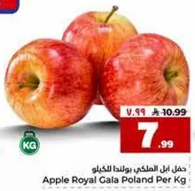 حقل ابل الملكي بولندا للكيلو