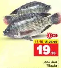 سمك بلطي