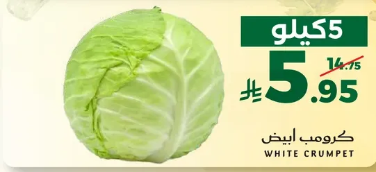 كروم ابيض