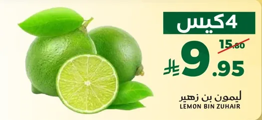 ليمون بن زهير