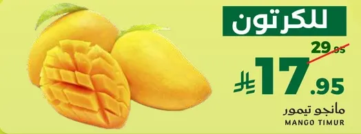 مانجو تيمور