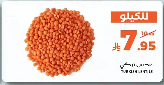 عدس تركي