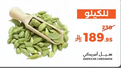 هيل امريكي