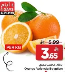 Orange Valencia Egyptian