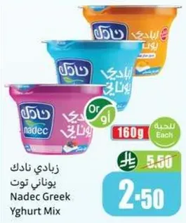 زبادي نادك يوناني توت
