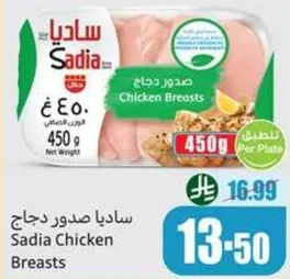 صدور دجاج ساديا