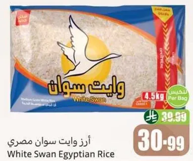 ارز وايت سوان مصري