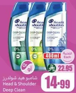 شامبو هيد شولدرز ديب كلين