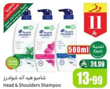 شامبو هيد اند شولدرز