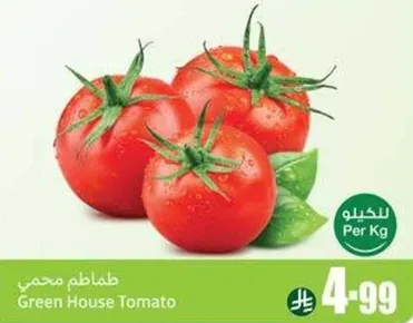 طماطم محم