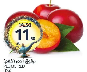 برقوق احمر (كغم)
