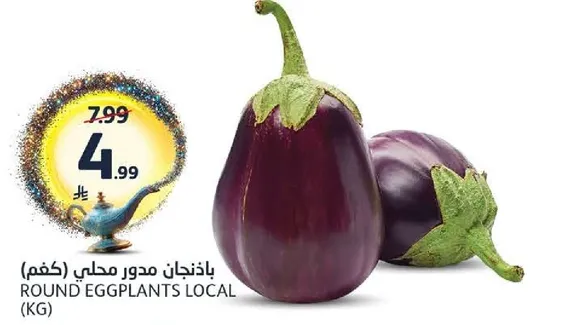 باذنجان مدور محلي (كغم)