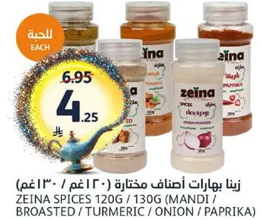 بهارات زينا مختاره 120 جرام / 130 جرام (مندي / بروستد / كركم / بصل / بابريكا)