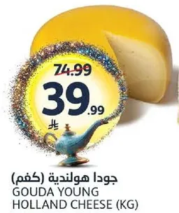 Gouda Young Holland Cheese (KG)