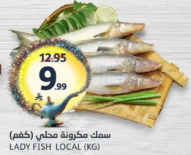 سمك مكرونه محلي (كغم)