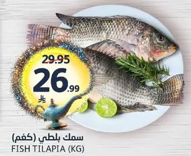 سمك بلطي (كغم)