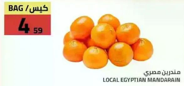 mandarain مصري