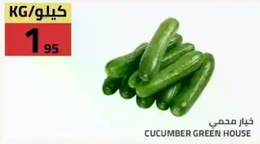 خيار مهدي