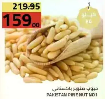 حبوب صنوبر باكستاني