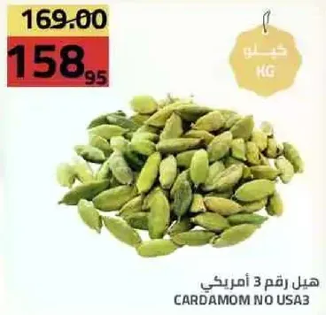 هيل رقم 3 امريكي
