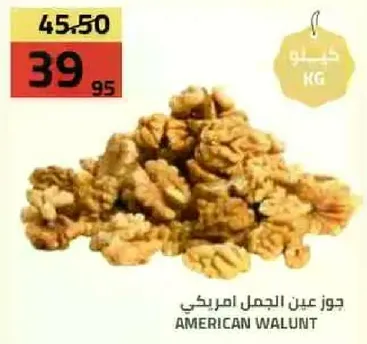 جوز عين الجمل امريكي