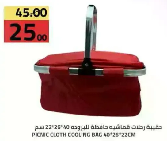 حقيبه قماشيه لحفظ البروده 40*26*22 سم