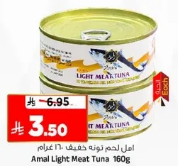 امل لحم تون خفيف 160 غرام