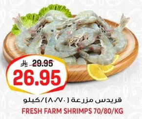 قريدس مزرعه 70/80 كيلو