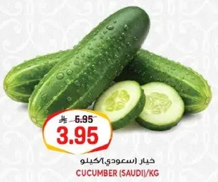 خيار سعودي/كجم