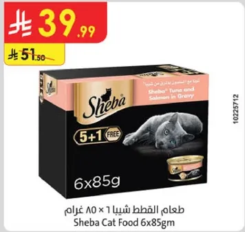 طعام شيا للقطط 6x85 غرام
