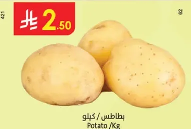 بطاطس / كيلو