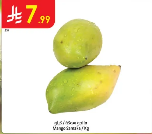 مانجو سمكه / كيلو