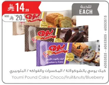 كيك يومي بالشوكولاته والمكسرات والفواكه، البلوبيري