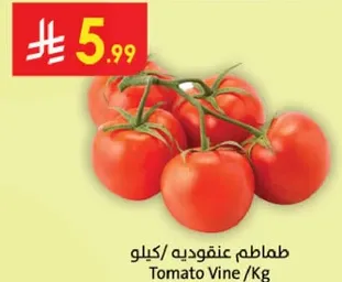 طماطم عنقوديه /كيلو