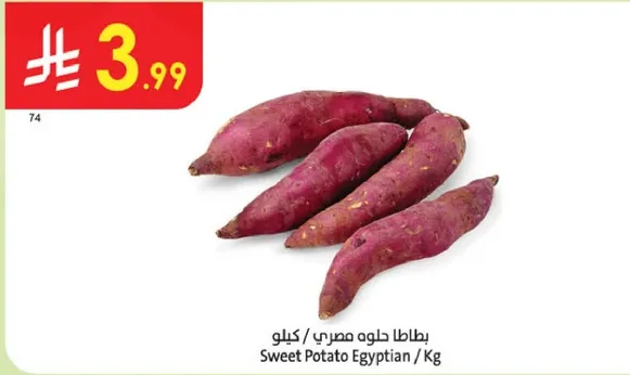 بطاطا حلوه مصري / كيلو