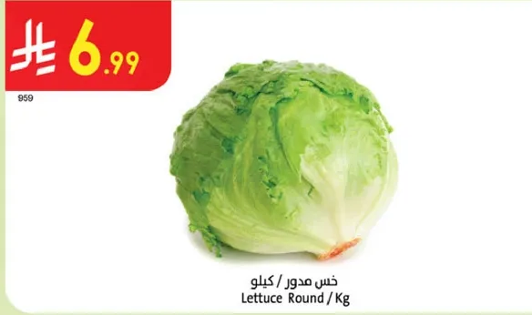 خس مدور / كيلو