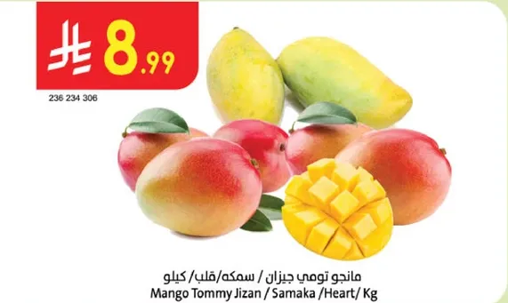 مانجو توفي جازان، طازج ولذيذ.