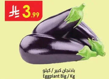 باذنجان كبير / كيلو
