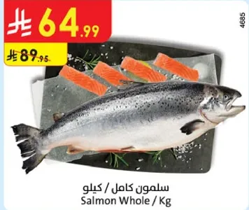 سلمون كامل / كيلو