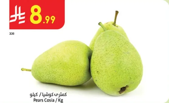 كمثري كوشيا / كيلو