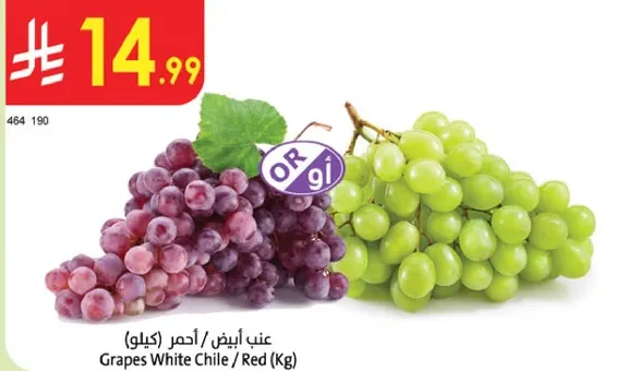 Grapes White Chile / Red (Kg)